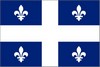 Pistes de téléguidé au Québec